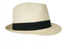 Panama-Trilby