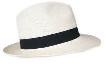 Men Panama hat 
