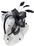 Fascinator with veil and feather