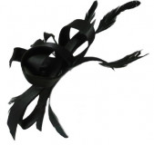 Fascinator, Poly with feathers